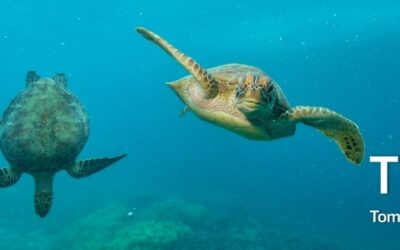 Raumfahrt trifft Tiefsee: Antrieb für Unterwasser-Drohnen